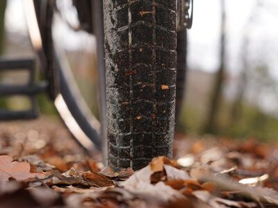 bicycle, cycling, fall, autumn, forest, nature, outdoors, sports, symbol, cycle, bike, cyclist, wheel, leisure time, move