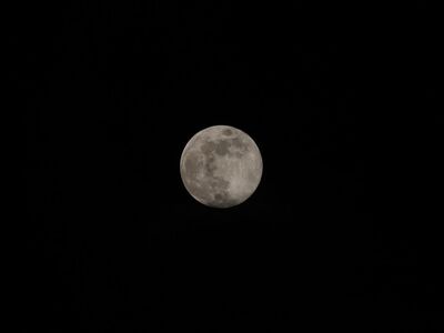 moon, night, wallpaper hd, laptop wallpaper, mac wallpaper, hd wallpaper, full moon, full hd wallpaper, satellite, celestial bodies, space wallpaper, space, crater, moonlight, desktop backgrounds, windows wallpaper, template, nature, structure, cool backgrounds, 4k wallpaper, 4k wallpaper 1920x1080, texture, free wallpaper, wallpaper 4k, background, free background, beautiful wallpaper, black-and-white