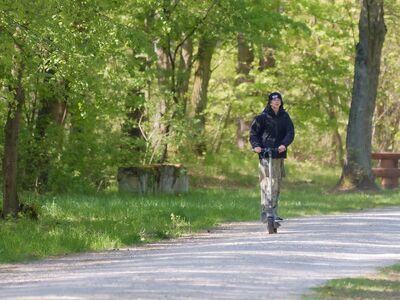 girl, nature, electric scooter, trees, grass, sports, recreation, lifestyle