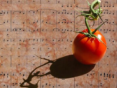 tomato, fruit, eat, summer, music, shadow, hd wallpaper, nature, decoration, wallpaper, texture, assembly, still life