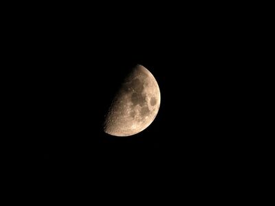 half moon, moon, night, sky, moonlight, nature, space, night sky, astronomy, half, luna, star, half-moon, evening, crescent, craters, lunar, atmosphere