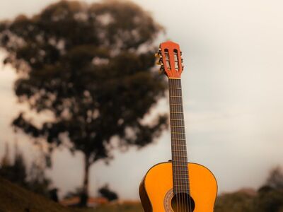guitar, music, tree, sky, path, instrument, nature, strings