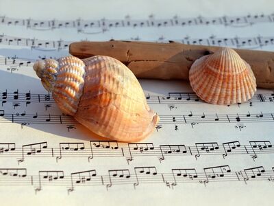 the sound of the sea, sea shanties, music, sheet music, songs, concert, to sing, choir, make music, teacher gradebook, grades, notenblatt, shellfish, shanty, shanty choir, melody, hd background, seafaring sounds, sounds