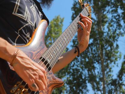 musician, bassist, guitar player, performer, music, nature