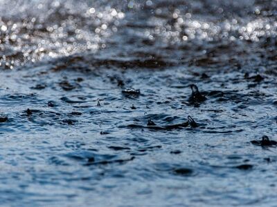water, drops, rain, waves, fluid, water surface, splash, nature, droplets, wave effect, wet