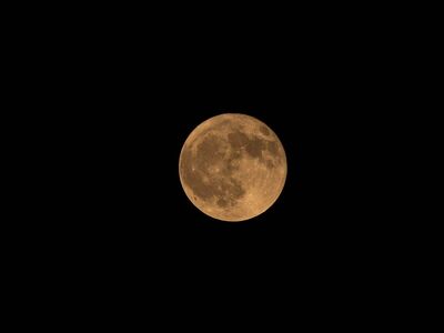 moon, night, sky, lunar, space, luna, dark, mystical, landscape, astronomy, moonlight, crater, nature, planet, universe