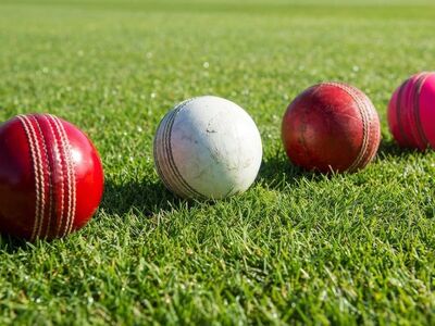 cricket, cricketer, field, sport, game, sports, player, batsman, athlete, pitch, wicket, bat, ball, bowling, leather, nature, pink, red, white
