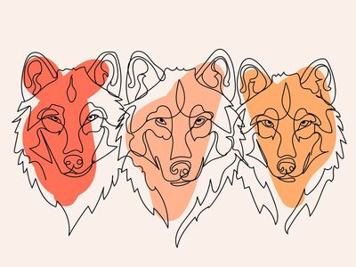 wolf, free background, wolves, 4k wallpaper, drawing, hd wallpaper, line drawing, nature, wild, full hd wallpaper, background, beautiful wallpaper, 4k wallpaper 1920x1080, cool backgrounds, laptop wallpaper, desktop backgrounds, free wallpaper, animals, wallpaper hd, boho, wallpaper 4k, mac wallpaper, windows wallpaper, bohemian