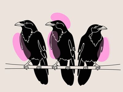 crows, boho, mac wallpaper, cool backgrounds, windows wallpaper, bohemian, wallpaper hd, background, drawing, free background, hd wallpaper, line drawing, beautiful wallpaper, birds, 4k wallpaper 1920x1080, laptop wallpaper, free wallpaper, desktop backgrounds, full hd wallpaper, 4k wallpaper, wallpaper 4k, feathers, nature
