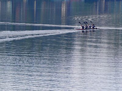 kayak, rowing, river, water, sport, city, team, recreational, landscape, group, training, race, calm, exercise, aerial view, four, nature, water sport, reflection, glitter, outdoors