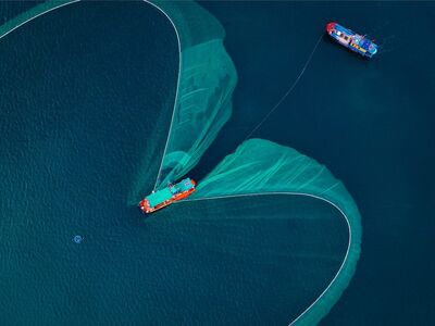 vietnam, phú yên, water, boat, fishing net, aerial view, sea, fishing, tradition, blue, catch, vessel, landscape, heart shape, vibrant colors, summer, industry, nature, livelihood, coast
