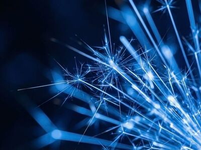 sparkling, blue, firework, macro, abstract, light, festive, explosion, bright, dark, brilliant, dynamic, glowing, intense, luminous, electric, energy, streaking, celebration, sapphire, ai generated