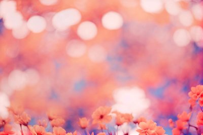 pink, blurred background, floral, windows wallpaper, background, bokeh, wallpaper 4k, spring, blossom, 4k wallpaper 1920x1080, abstract, dreamy, blur, floral background, light, beautiful wallpaper, laptop wallpaper, wallpaper hd, pastel, flower, flower background, soft, delicate, hd wallpaper, nature, cool backgrounds, beautiful flowers, free wallpaper, desktop backgrounds, romantic, season, 4k wallpaper, free background, beauty, mac wallpaper, petal, flower wallpaper, backdrop, color, bright, design, full hd wallpaper, art, ai generated
