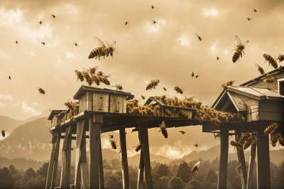 beehive, bees, insects, honeybees, swarm, wings, deck, wooden, yellow, shadow, day, natural, flying, sunlight, bee swarm, honey, honey production, world bee day, stripes, beekeeping