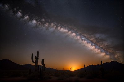 night, sky, star, brazil, landscape, desert, cactus, silhouette, dark, astronomy, galaxy, space, universe, cosmos, nature, outdoor, scenic, travel, environment, biome, exclusive, america, south, horizon, ai generated