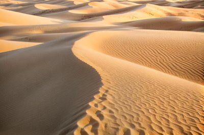sand dunes, desert sand dunes, sand dunes texture, dune ripples, golden sand dunes, minimal sand dunes, desert texture, wind ripples sand, sand patterns, smooth sand dunes, desert landscape minimal, hd wallpaper, sand dune closeup, zen sand dunes, morning sand dunes, sand texture, nature abstract, 4k wallpaper