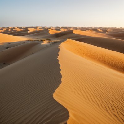 sand dunes, desert sand dunes, sand dunes texture, dune ripples, golden sand dunes, minimal sand dunes, desert texture, wind ripples sand, sand patterns, smooth sand dunes, desert landscape minimal, hd wallpaper, sand dune closeup, zen sand dunes, morning sand dunes, sand texture, nature abstract, 4k wallpaper