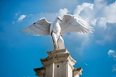 dove, cross, white, nature, sky, blue, peace, religion, faith, holy, statue, architecture, heaven, symbol, light, serenity, church, purity, stone, culture, lighting