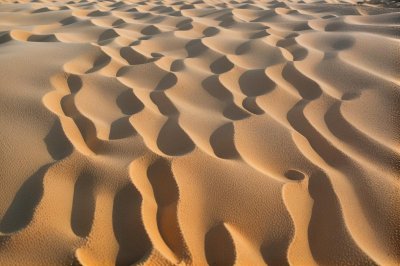 sand, sand patterns, nature, sunset, terrain, natural beauty, sand shaping, texture, coast, light and shadow, beach, natural patterns, pacific northwest, travel photography, framing, vacation memories, summer vacation