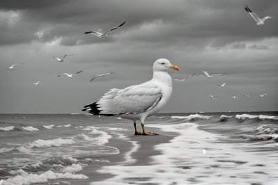 seagull, bird, nature, wildlife, feathers, ocean, coast, beach, ring-billed gull, wings, white color, shore, water surface, beak, waterbird, animal, perching, natural environment, mud