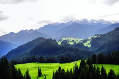 landscape, alps, nature, mountains, trees, forest, green, meadow, sunny, panorama, tranquility, morning, horizon, alpine meadows, mediterranean, agricultural, mountainous, travel, hiking, charming