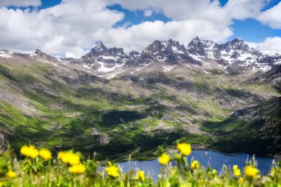 mountain, spring flowers, panorama, hiking, nature, landscape, clouds, sky, forest, snow fields, bavarian alps, outdoor, spring, gentian, globeflower, mountaineering, alpine flora, vivid, rocky