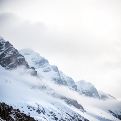 bird, mountain, kea, mountain landscape, snow, flying, sky, gray, wilderness, natural scenery, winter, new zealand, high altitude, wildlife, cold, panorama, nature, mist, freedom