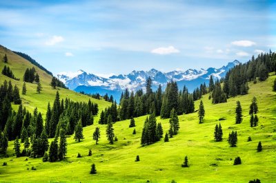 mountains, landscape, trees, forests, meadows, hilly, alpine, hike, grass, blue sky, nature, mountain range, panorama, excursion, trekking, natural scenery, view, relaxation