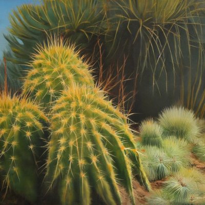 cactus, spiky, desert, natural, desert plant, cactus garden, green color, dryness, close-up, arid environment, botany, plant biology, texture, sand, exotic plants, thorns, nature, sharp, soil, extreme conditions