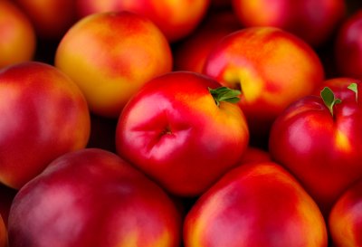 nectarine, fruit, red, orange, summer, ripe, food, vibrant, healthy, fresh, natural, agriculture, tactile, market, harvest, rich, vitamins, mass, coating, organic food, fruit for sale