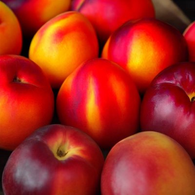 nectarine, fruit, red, orange, summer, ripe, food, vibrant, healthy, fresh, natural, agriculture, tactile, market, harvest, rich, vitamins, mass, coating, organic food, fruit for sale
