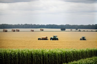 field, tractor, hay bales, agriculture, summer day, rural landscape, plants, straw, horizon, tractor in field, grass, plowing, grain, transport, harvest, ecology, landscape, nature, farmer, sky