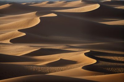 desert, sand dunes, sand patterns, sand, desert landscape, landscape, texture, golden hour, natural beauty, nature, landscape photography, natural pattern, serene, undulating, minimalism, calmness, sand color, natural scenery, wide angle, silence