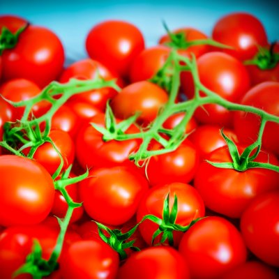 tomatoes, red, fresh, vegetable, organic, healthy, harvest, healthy eating, recipe, vitamins, diet, agriculture, fruit, crops, yield, cooking, photosynthesis, spice, boiling