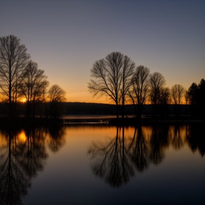 birds, sunset, lake, shadows, trees, reflection, water, sky, flock, evening, nature beauty, tranquility, dusk, landscape, calm, migration, nature, calm water, lake reflection, natural phenomenon, silence