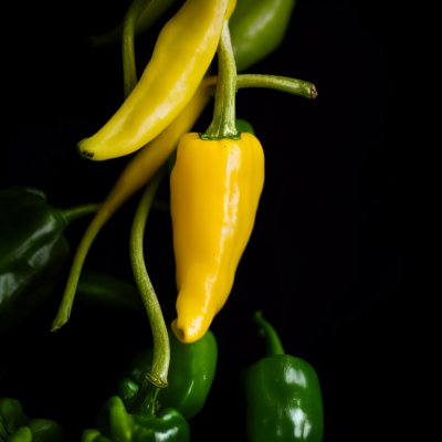 pepper, yellow pepper, green pepper, crop, fresh, greenery, gardening, vitamins, nutrition, artistic photo, vegetable plant, black background, close-up, nature, eco-friendly, agriculture, slice, farmer, seasonal, slightly colorful, color