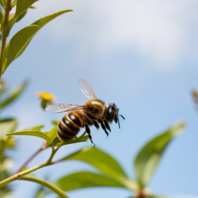 bee, nature, flower, pollination, wings, blue sky, macro, flight, blooming season, warm weather, natural, garden, green, insect on flower, nature beauty, outdoor, environment, colorful flowers, wildlife, flying insect