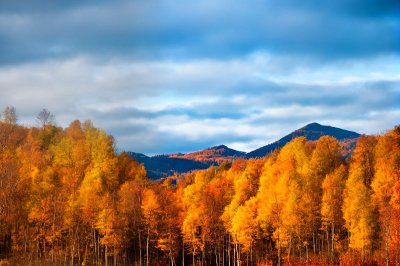 autumn, landscape, forest, mountains, yellow leaves, autumn trees, golden colors, sunlight, blue sky, mountain landscape, fall colors, lighting, natural scenery, autumn foliage, tourist attraction, nature, rural area, deciduous forest, view, outdoor, walk, natural beauty