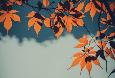 leaves, autumn, nature, branches, fall foliage, orange leaves, pink, beautiful, light, outdoors, background, calm, emptiness, peace, appearance, natural, beautiful colors, seasonal, sign, abstract