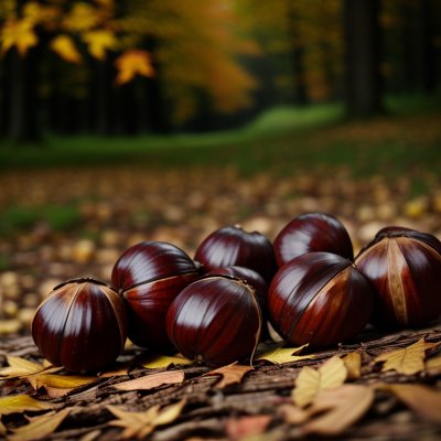 chestnuts, autumn, leaves, nature, sun, ripe, surface, natural light, brown, autumn fruits, outdoors, decay, gloss, natural environment, seasonal, shell, dried leaves, fallen leaves, naturally lit, harvest