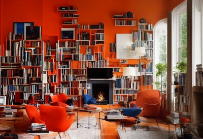 ai generated, home library, reading nook, fireplace, bookshelf, bookworm, library ladder, blanket, comfortable chair, window with forest view, pillow, living room, wooden ceiling, coziness, decoration, rug, candle, book collection, mixed styles, interior, traditional design