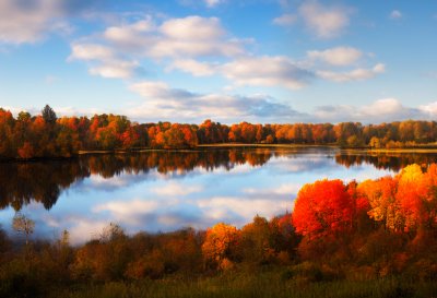 landscape, nature, autumn, sky, rural, forest, meadow, clouds, calm, trees, lake, pond, seagrass, water, environment, nature reserve, idyll, meditation, north germany, biotope