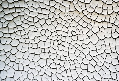 abstract, pattern, surface, texture, cracked, paint, dry, dried paint, cracks, white, phone wallpaper, iphone wallpaper, abstract, pattern, texture, texture, texture, texture, texture, phone wallpaper, phone wallpaper, phone wallpaper, United States, San Diego, California