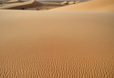 sand, desert, dryness, hot, dry, beige, brown, nature, morocco, africa, texture, cracks, drought, earth, broken up, cracked, sand, sand, sand, sand, sand, desert, desert, africa, africa, texture, drought, drought, earth, earth