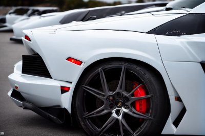 car, automobile, super car, luxury car, lamborghini, corvette, white car, car wallpapers, sports cars, exotic car, parked car, white lamborghini, high-end vehicles, outdoor
