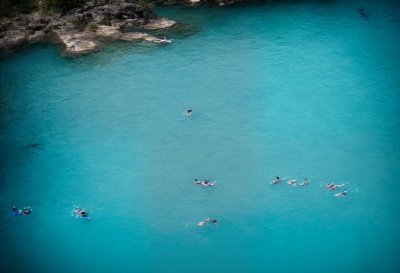 swimming pool, nature, swimmers, summer, water, aerial view, fun, relaxation, leisure, vacation, sunny day, splash, active lifestyle, swimming, outdoors, pool party, blue water, sports, healthy living