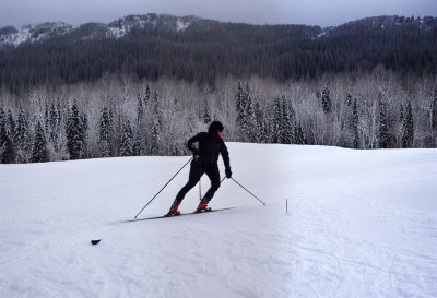 snow, trees, cross-country skier, winter landscape, sports, fitness, leisure time, winter sports, nature, covered in snow, winter