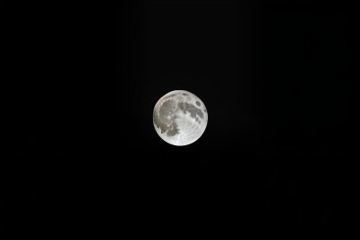 moon, night, wallpaper hd, laptop wallpaper, mac wallpaper, hd wallpaper, full moon, full hd wallpaper, satellite, celestial bodies, space wallpaper, space, crater, moonlight, desktop backgrounds, windows wallpaper, template, nature, structure, cool backgrounds, 4k wallpaper, 4k wallpaper 1920x1080, texture, free wallpaper, wallpaper 4k, background, free background, beautiful wallpaper, black-and-white