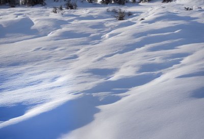 snow, winter, cold, ice, frozen, sun, nature, landscape