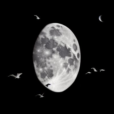 moon, ducks, birds, flight, wings, surreal, fantasy, nature, darling, night